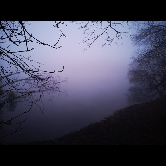 Meet your Posher, Emmett - Picture 1 of 1